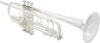 Vincent Bach Trumpet (AB190S) Silver