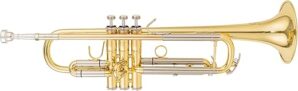 AUROSUS Trumpet For Beginner & Advanced Students (710 Gold Brass)