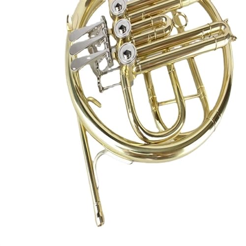 TSTS B Flat Three-Key Single French Horn - Image 4