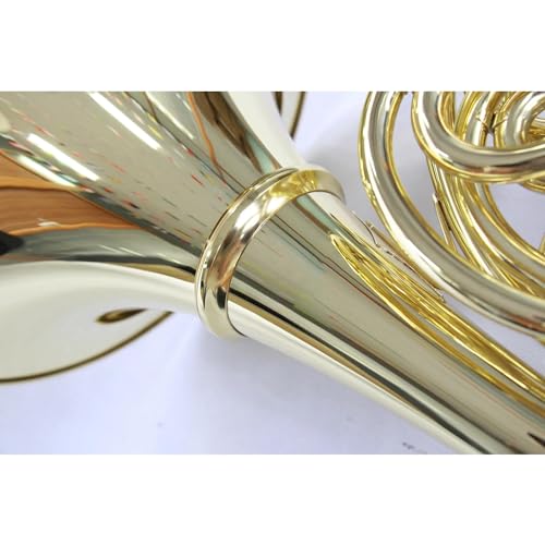 TSTS Professional Brass F/Bb Tone French Horn - Image 5
