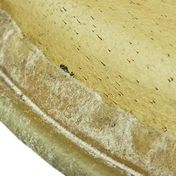 Gon Bops Tumbao Standard (SP2021) Drum