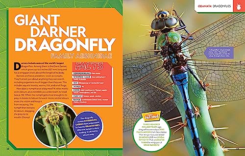 Ultimate Bugopedia, 2nd Edition: The Most Complete Bug Reference Ever by National Geographic Kids - Image 3