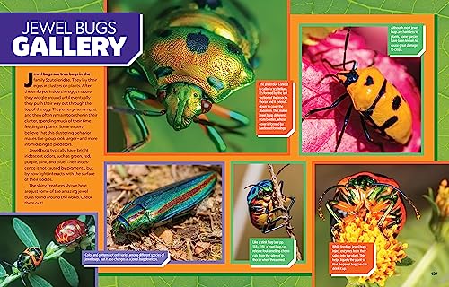Ultimate Bugopedia, 2nd Edition: The Most Complete Bug Reference Ever by National Geographic Kids - Image 4