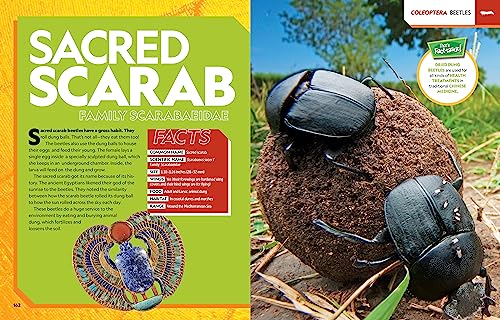 Ultimate Bugopedia, 2nd Edition: The Most Complete Bug Reference Ever by National Geographic Kids - Image 5