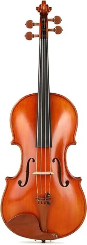 Eastman VA200 Intermediate Viola – 16-Inch