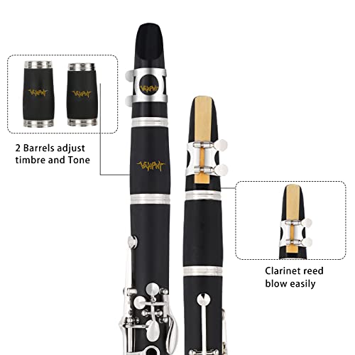 VANPHY Beginner Bb Clarinet Kit With Accessories - Image 2
