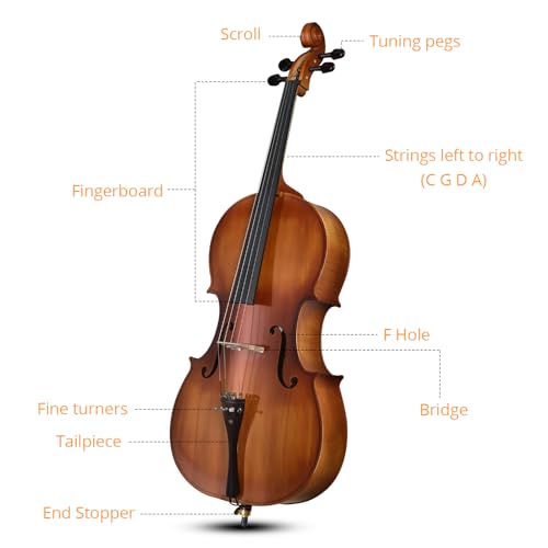 Vasitelan Full Size Acoustic Cello With Case - Image 3