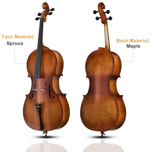 Vasitelan Full Size Acoustic Cello With Case - Image 4