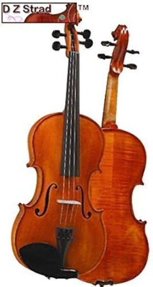 D Z Strad Viola Model 101 With Accessories (16′)