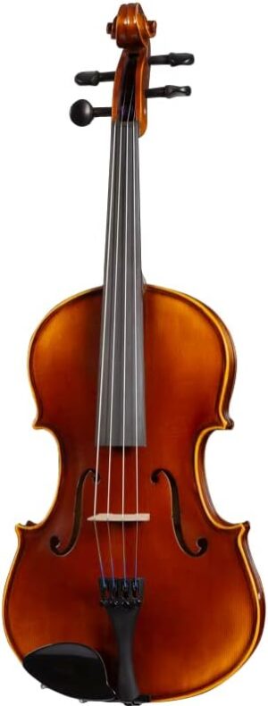 D Z Strad Viola Model 120 with Accessories (15″)