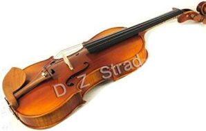 D Z Strad Viola Model N2011 With Bow, Case