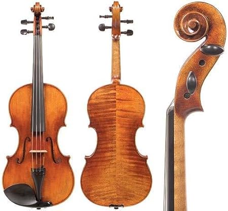 D Z Strad Viola #N301 With Case And Bow
