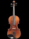 D Z Strad Viola – Professional Model 1000 (15.5″)
