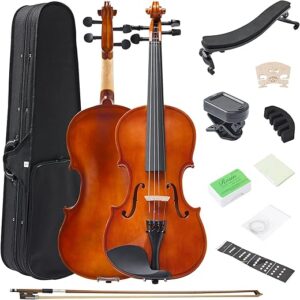 FDT&ENJOY Violin For Beginners Adults, 4/4 Full Size