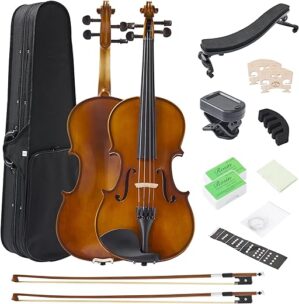 FDT&ENJOY Violin For Beginners Adults, 4/4 Full Size