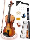 Fesley Violin Full Set: 4/4 Polished Violin Kit
