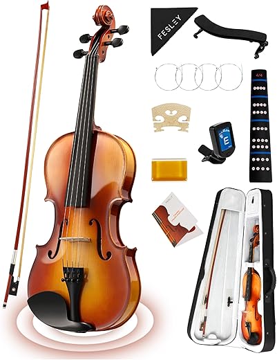 Fesley Violin Full Set: 4/4 Polished Violin Kit
