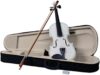 Ktaxon Violin Kit For Beginners With Case