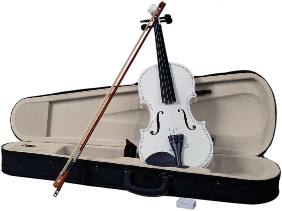 Ktaxon Violin Kit For Beginners With Case