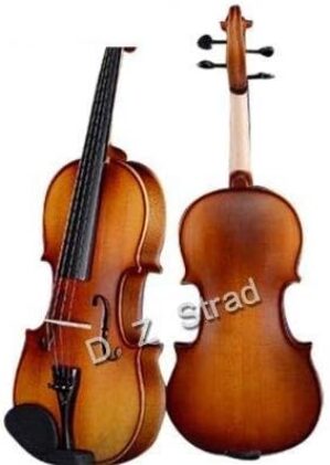 D Z Strad Violin Model 100 With Case, Bow