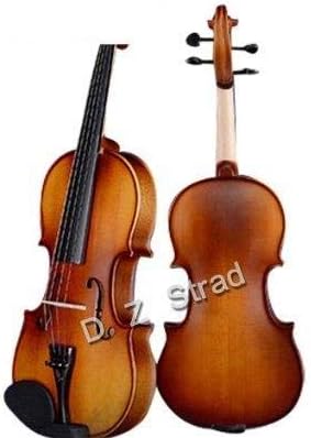 D Z Strad Violin Model 100 With Case, Bow