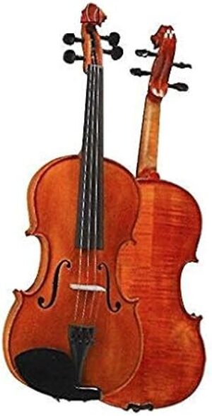 D Z Strad Violin Model 101 Full Size Set
