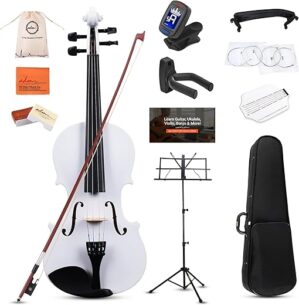 adm Violin Starter Kit With Accessories