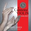 Violin Strings Il CANNONE Soloist Set