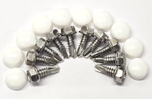 BROCK’S VISOR PARTS Visor Mounting Screws & Caps, .75