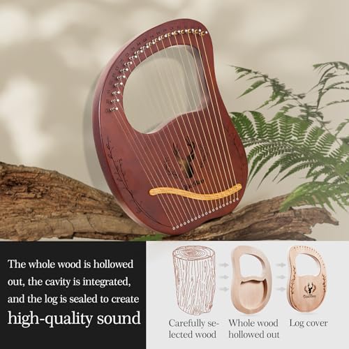 VixxNoxx 19-String Mahogany Lyra Harp Kit - Image 3