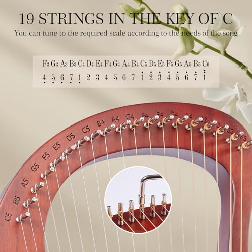 VixxNoxx 19-String Mahogany Lyra Harp Kit - Image 5