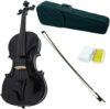 Sky VN202 Wood Black Violin with Bow