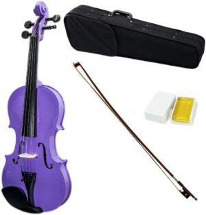 Sky VN202 Wood Purple Violin with Bow