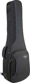 Reunion Blues Voyager LP Style Guitar Case, RBCLP