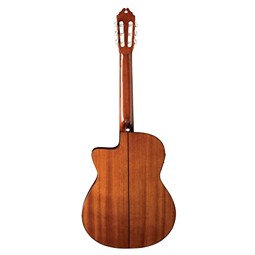 Washburn Classical C5CE Cutaway Acoustic Electric Guitar - Image 2