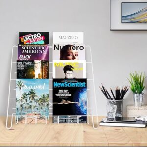 NEESEEYEE Wire Magazine Rack With 4 Open Tiers