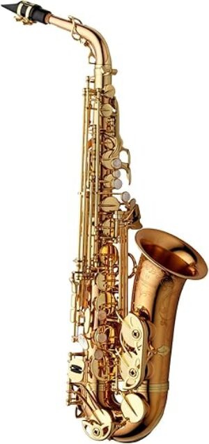 Yanagisawa WO20 Series Alto Saxophone Bronze