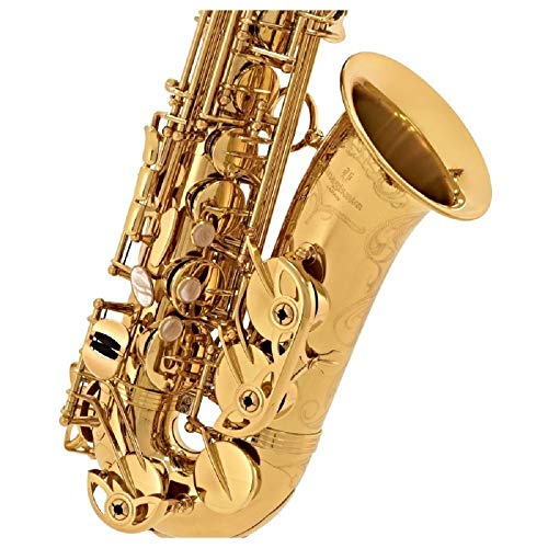 Yanagisawa A-WO10 Alto Saxophone - Image 5