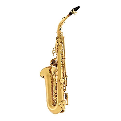 Yanagisawa A-WO10 Alto Saxophone - Image 2