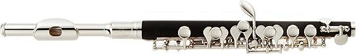ゼンオン Zenon Piccolo ZPC800