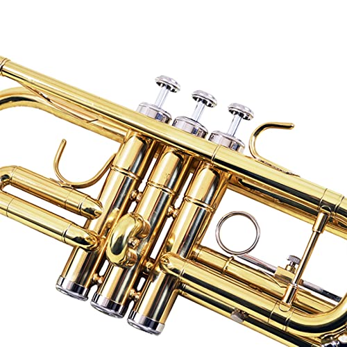 ZYZYZY High-pitched C Trumpet for Beginners - Image 3