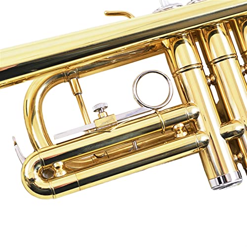 ZYZYZY High-pitched C Trumpet for Beginners - Image 4