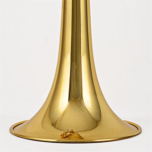 ZYZYZY Treble C Brass Trumpet For Students - Image 3