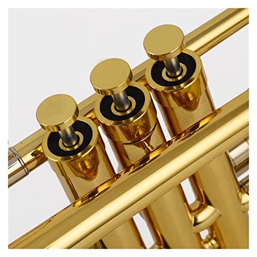 ZYZYZY Treble C Brass Trumpet For Students - Image 2