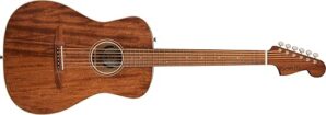 Acoustic Guitars