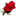 Flowersfast.com