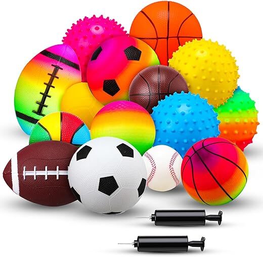 Halloscume 15 Pcs Assorted Sports Balls Set with Pump, Indoor Outdoor