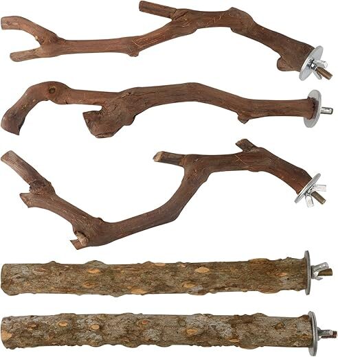 HOSUKKO 5PCS Bird Perch Stand Training Branches