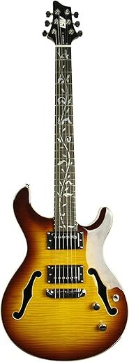 IVY 6 String Acoustic-Electric Guitar, IPF-300 TSB