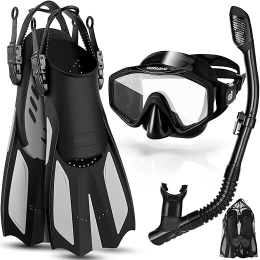 Odoland Adult Snorkel Set with Dry Mask and Fins